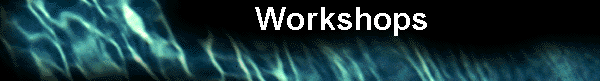  Workshops                   